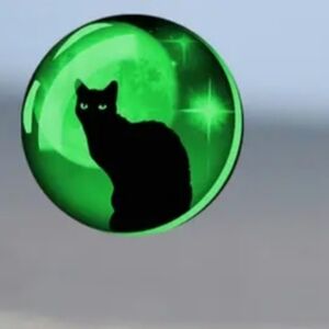 Beautiful Luminescent Black Cat 🐈‍⬛ Necklace Glows in the Dark L👀K